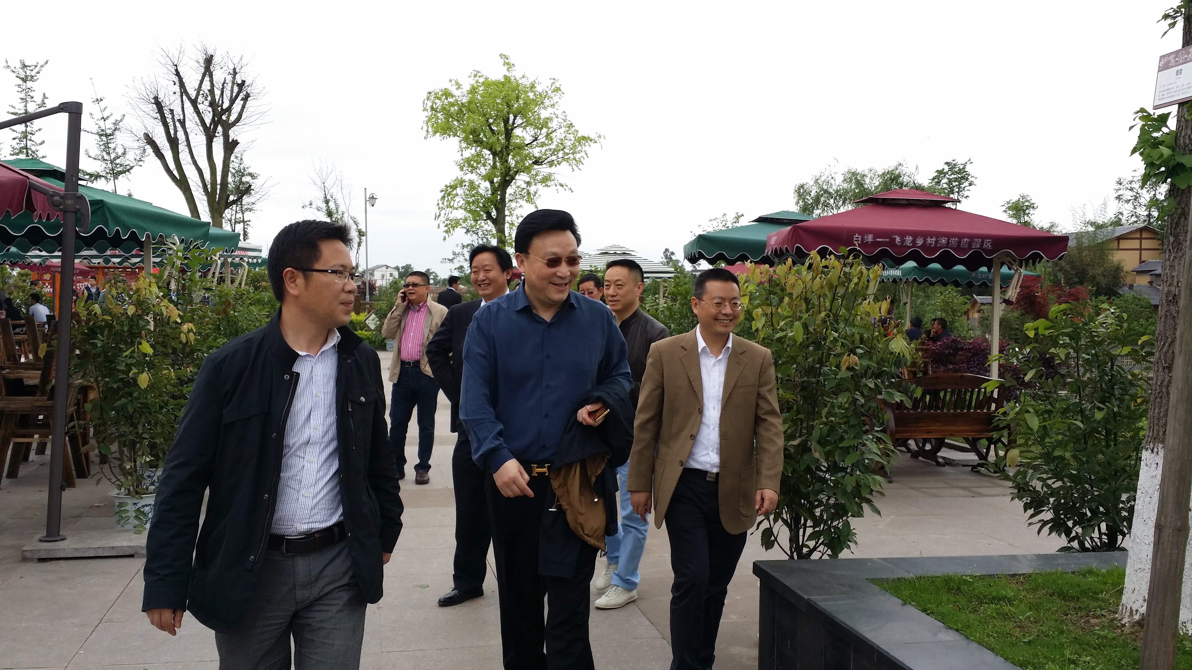 我司董事长随民建四川省委考察组 深度调研广安武胜乡村振兴新图景