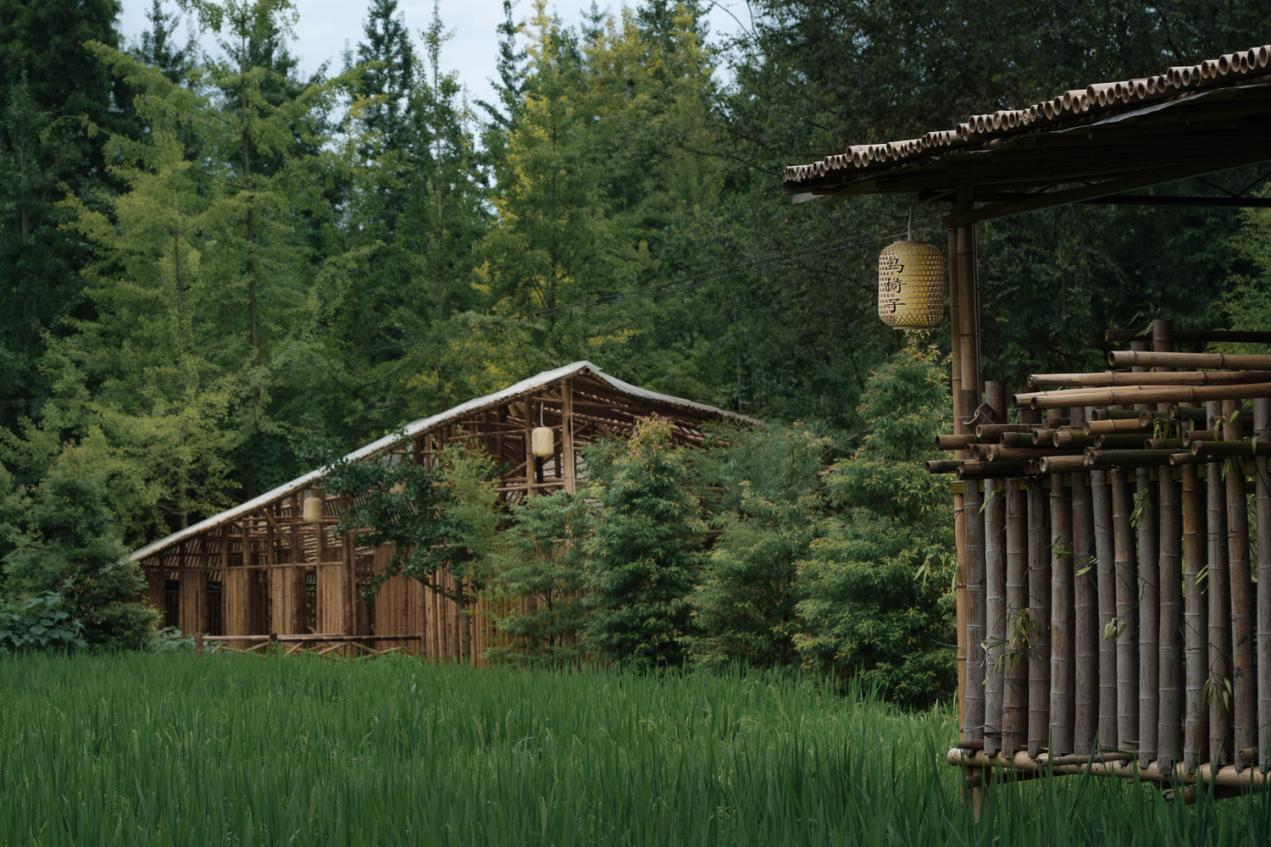 百年非遗工坊焕新，与自然共生的建筑诗篇