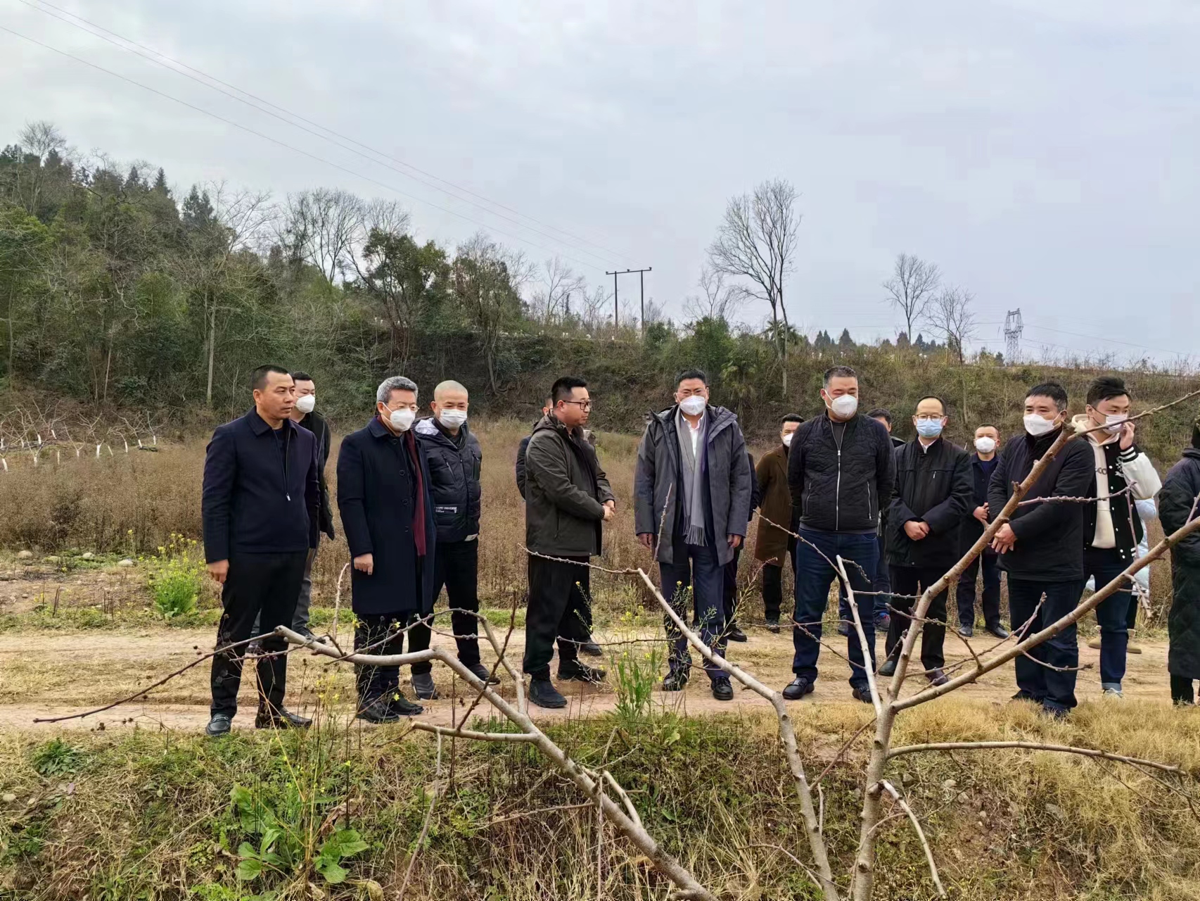 四川大卫设计董事长、乡村振兴委主任刘卫兵随民建成都市委会赴石家村调研乡村振兴 