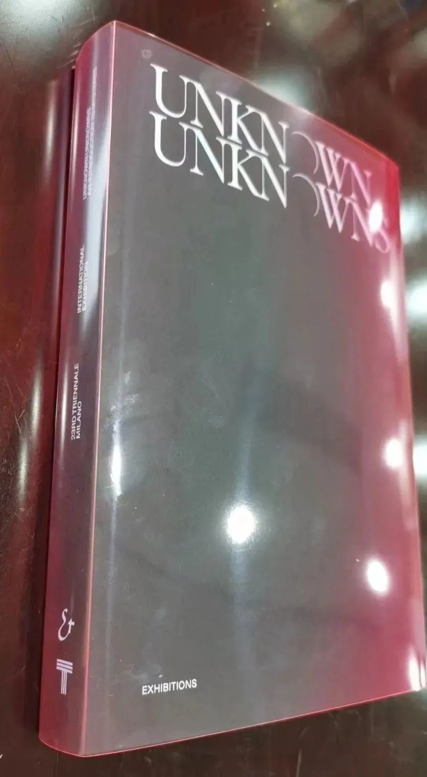 中国馆唯一作品《无形》录入《第23届米兰三年展文献集》 