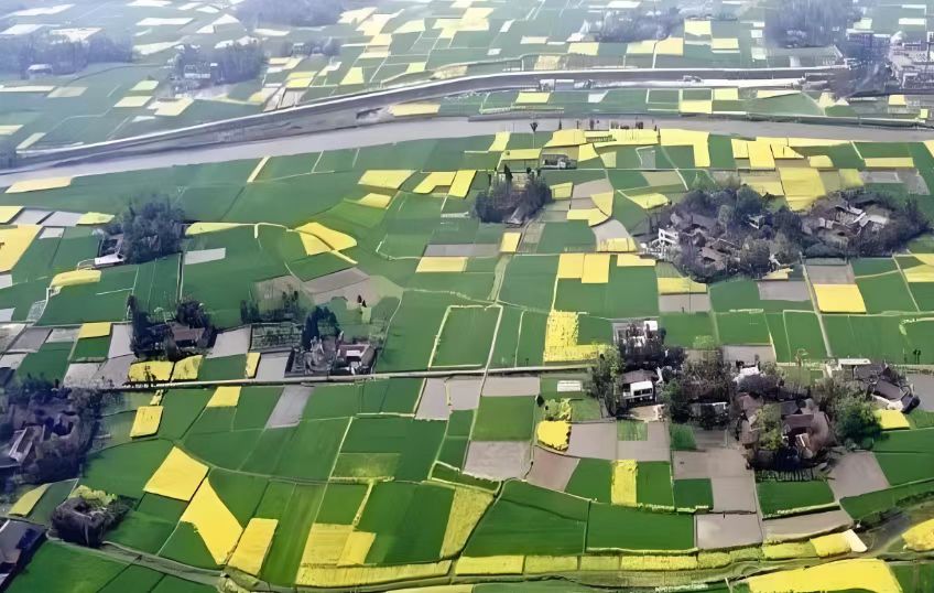 川西林盘：千年生态智慧，如何为现代人点亮一盏归乡的灯？